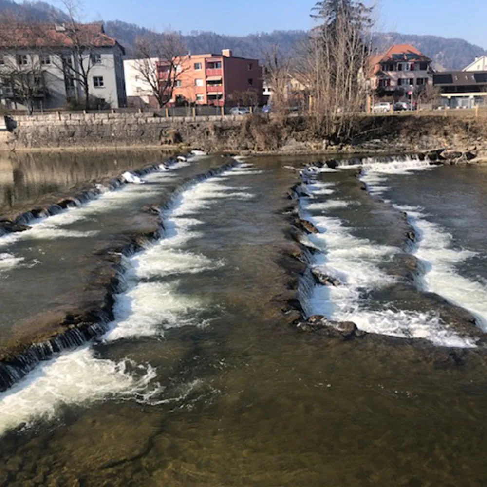 Eisbaden in der Sihl